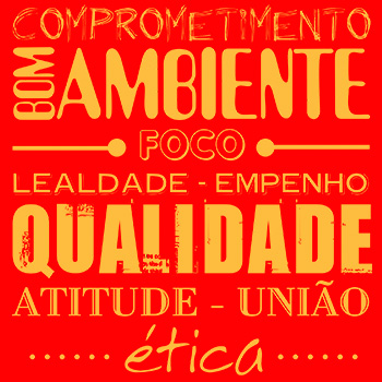 Camisetas Personalizadas Rondônia - Silk pequena abe 03