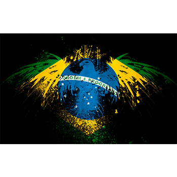 camiseta brasil - brasil_pequena_02